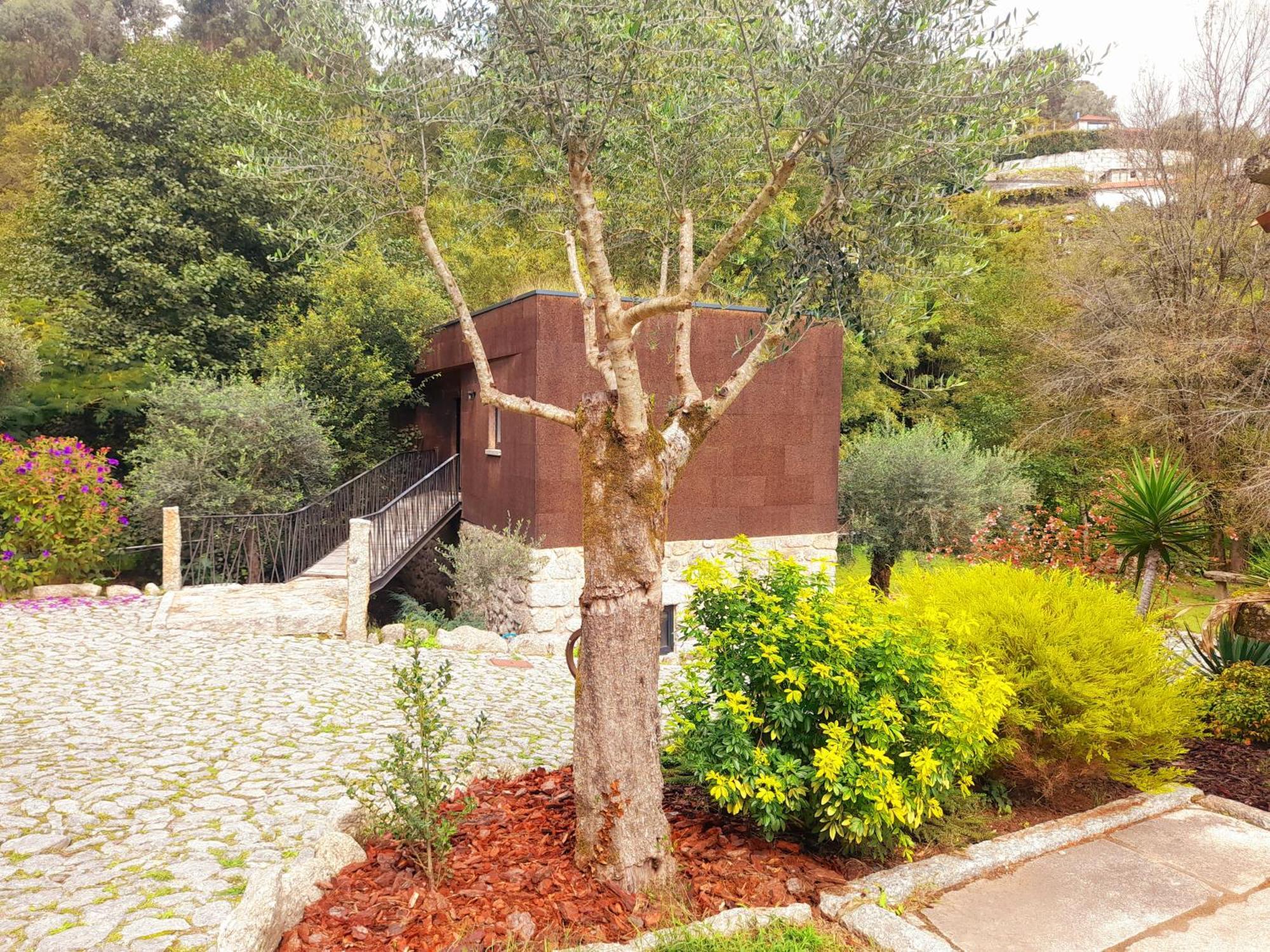 Villa Moinhos Carvalhas à Arcos de Valdevez Extérieur photo