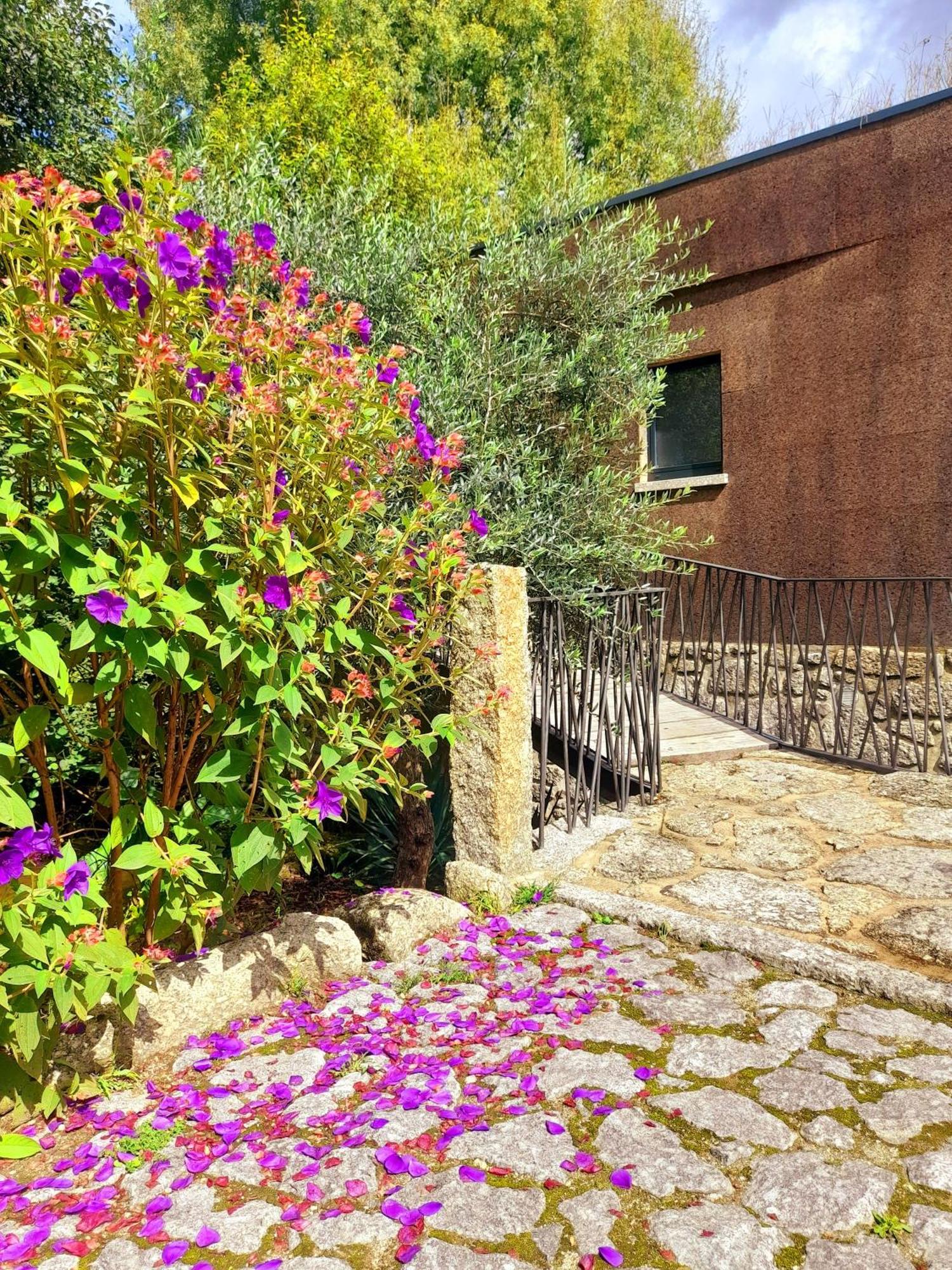 Villa Moinhos Carvalhas à Arcos de Valdevez Extérieur photo